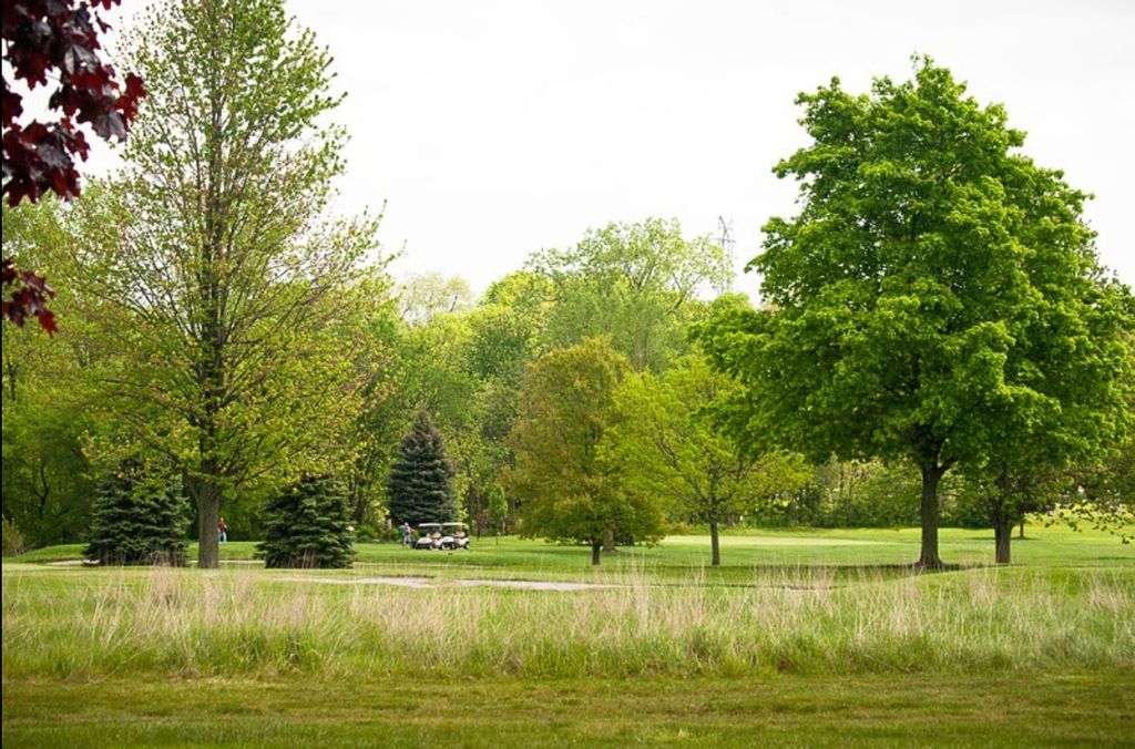 Course Photos Wesburn Golf Course